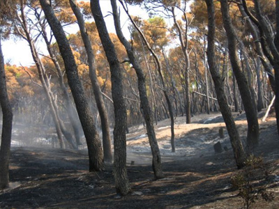 Παράνομο ξενοδοχείο στα καμένα του Καϊάφα