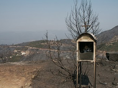 Ψηφίστηκε το νομοσχέδιο για τα «καμένα» της Αττικής