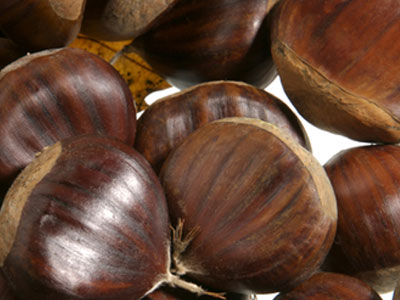 Γιορτή του κάστανου στην Καστάνιτσα Κυνουρίας