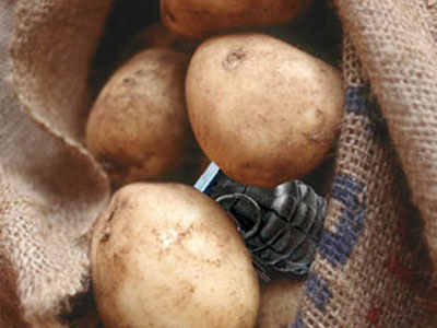 Εγκρίθηκε από την ΕΕ η μεταλλαγμένη πατάτα