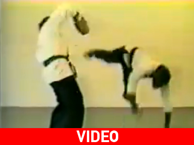 Μαϊμού- καρατέκα