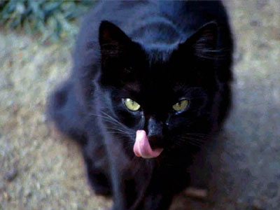 Άλλος έχει το όνομα…