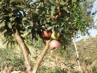 O γιος του διευθυντή να γίνει… διευθυντής