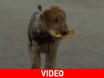 Η εκδίκηση του… Μιλού