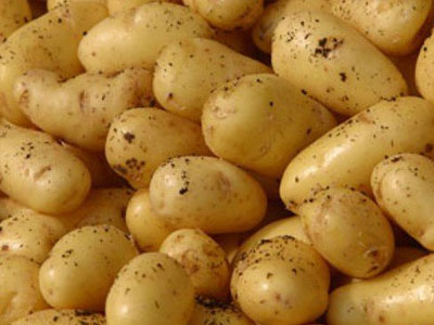 Στα ύψη οι εισαγωγές λαχανικών