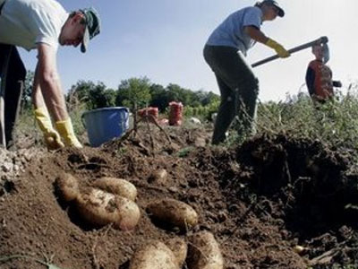Επαγγελματική ταυτότητα αποκτούν οι αγρότες