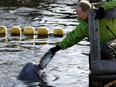 Ο Πούτιν σε ρόλο… καπετάν Νέμο