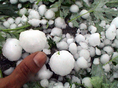 Έκτακτο βοήθημα για τις ζημιές των αγροτών