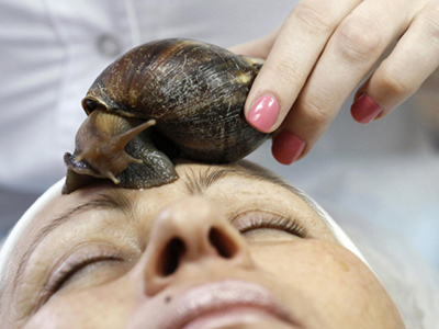 Μασάζ με… σαλιγκάρια!