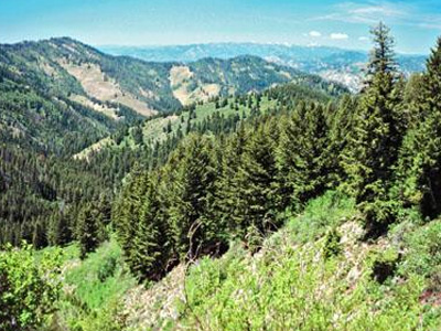 Νομοσχέδιο για την προστασία των δασών