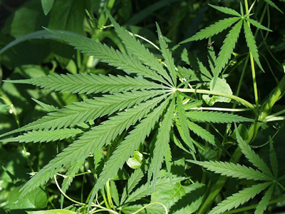 Σύλληψη για χασίς στην Κόρινθο