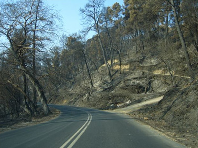 Προτάσεις για τους πυρόπληκτους νομούς