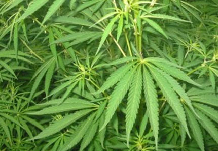 Σύλληψη για ναρκωτικά στη Β. Ελλάδα