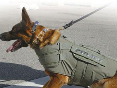 Σκύλος ανακάλυψε 5 κιλά ηρωίνη στη Μυτιλήνη