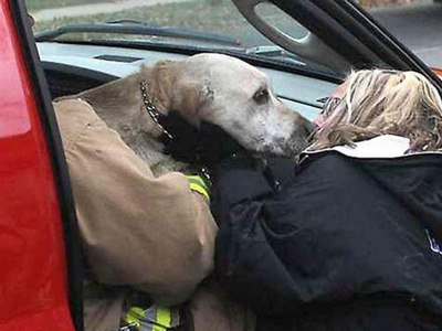 Έδωσε το φιλί της ζωής σε σκύλο!