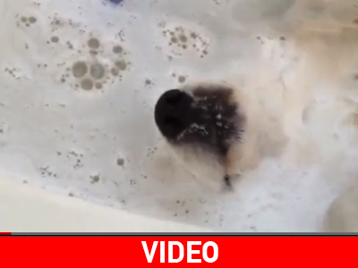 Το αφρόλουτρο του Κάσπερ