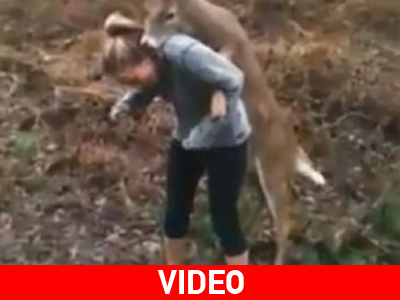 Αρσενικό ελάφι ερωτεύτηκε ξανθιά τουρίστρια