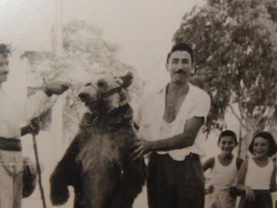 Ο αρκουδιάρης