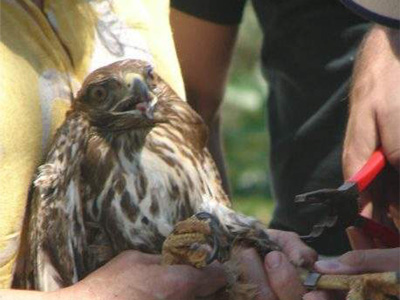 «Ταξιδεύοντας με τα πουλιά». Μια φωτογραφική περιήγηση στο αεροδρόμιο