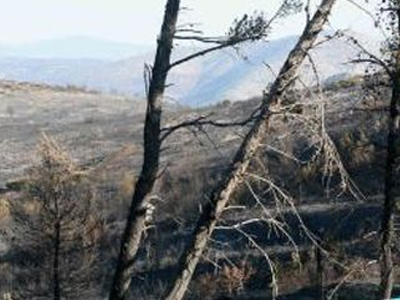 Ποινική δίωξη σε βάρος του κτηνοτρόφου για τη φωτιά στο Γραμματικό