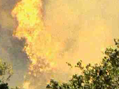 Φωτιά στο Λαγονήσι