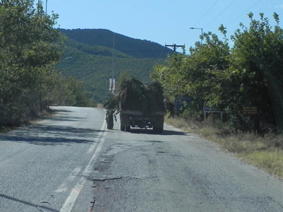 Φόρτωσέ το και άλλο! Μπορείς!