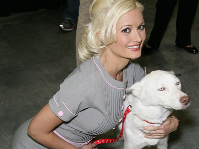 Η Holly Madison βοηθάει τα αδέσποτα