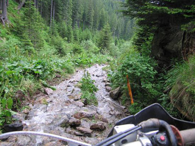 Άφησε τα ναρκωτικά κι εξαφανίστηκε!