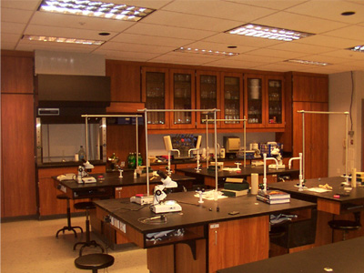 Για πρώτη φορά μετρήθηκε ο χρόνος μετατροπής της σκέψης σε λόγια