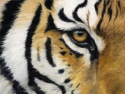 Λέαινα αναστατώνει την Ισπανία