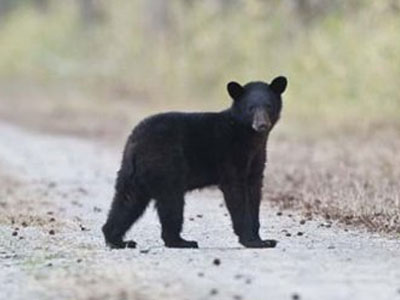 Του πήραν τα πόδια ως… τρόπαιο!