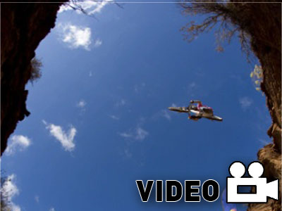 Ιπτάμενη μαϊμού