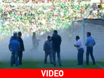 Μέλισσες… φώλιασαν στο τέρμα