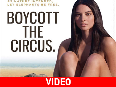 Η Olivia Munn μποϋκοτάρει τα τσίρκο