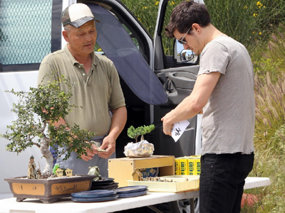 Το Bonsai του Orlando Bloom