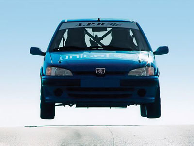 Πανελλήνιο Πρωτάθλημα Ράλλυ 2010