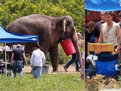 O Robert Pattinson και οι ελέφαντες