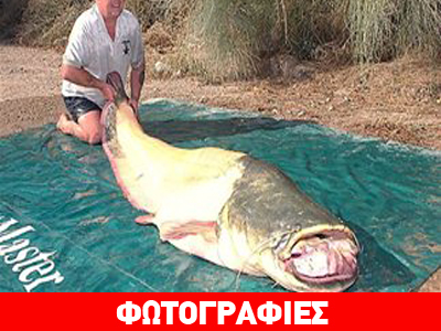 Γατόψαρο για… ρεκόρ Γατόψαρο για… ρεκόρ