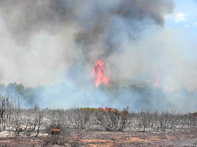 ”Ντουμάνιασαν” στη Χρυσούπολη