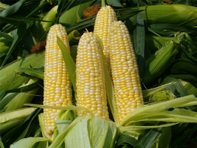 Ανάκληση προϊόντος που περιέχει γλουτένη