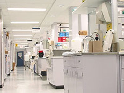 Σοβαρές καταγγελίες για ελλείψεις στην αντιμετώπιση της «γρίπης των χοίρων».