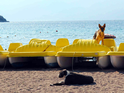 Μέτρα για τον τουρισμό μέσα στο οικονομικό «καταχείμωνο»