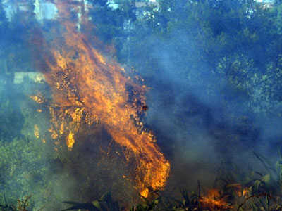 Πυρκαγιά στην Χαλκιδική