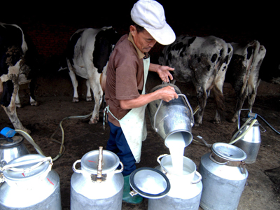 Μελαμίνη και στη Νότια Κορέα