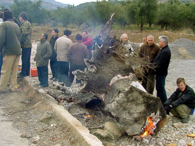 Στους δρόμους αγρότες και κτηνοτρόφοι της Πελοποννήσου