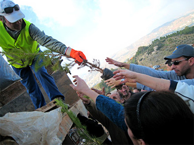 Αναδα-σώνουμε… τον Υμηττό μας