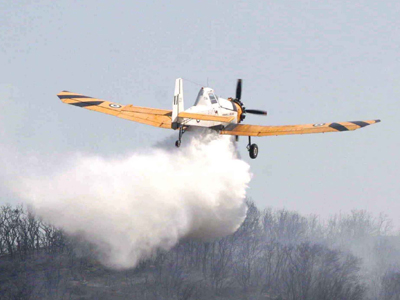 Συνέλαβαν εμπρηστή