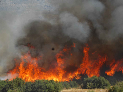 Υπό έλεγχο η φωτιά στο δάσος της Στροφυλίας στην Αχαΐα