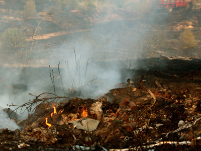 Υπό έλεγχο οι πυρκαγιές σε Αρτέμιδα και Παιανία