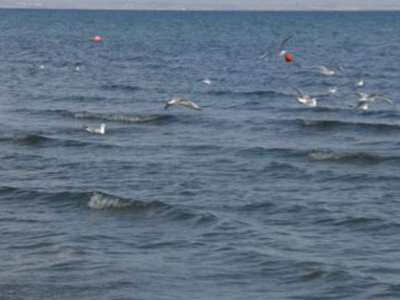 Πενηνταδυάχρονη ανασύρθηκε νεκρή στην Κατερίνη